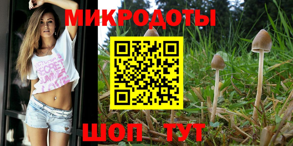 Благовещенск  Галлюциногенные грибы Magic Shrooms  Вход с VPN 