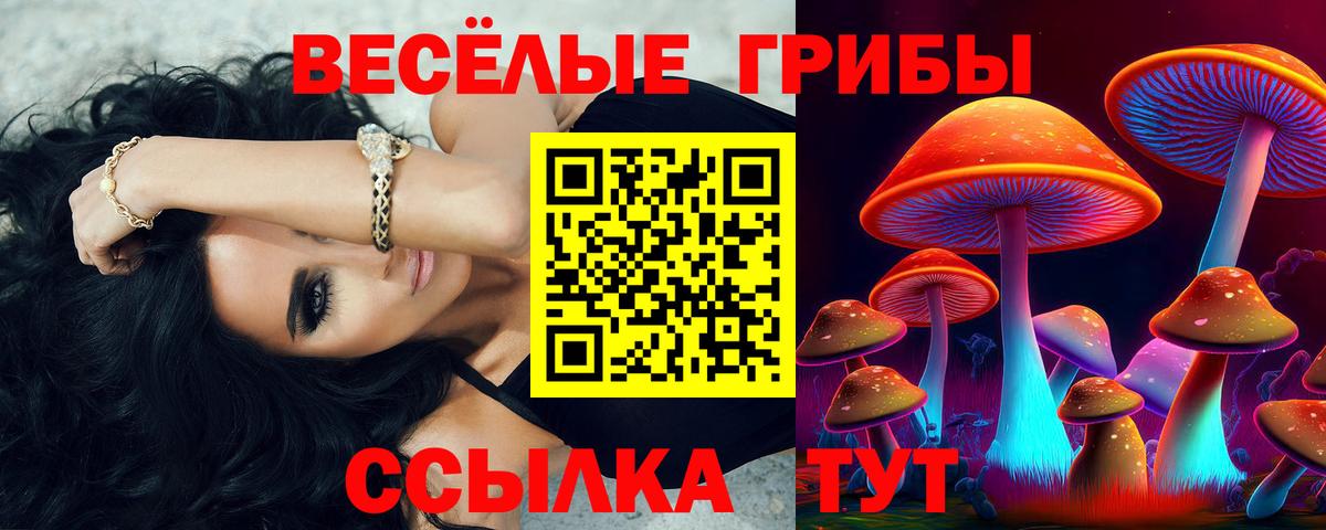 Псилоцибиновые грибы Magic Shrooms Благовещенск